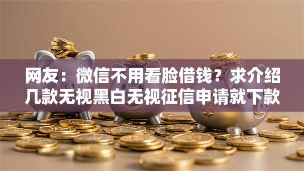 网友：微信不用看脸借钱？求介绍几款无视黑白无视征信申请就下款的口子