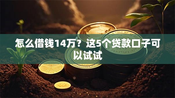 怎么借钱14万？这5个贷款口子可以试试
