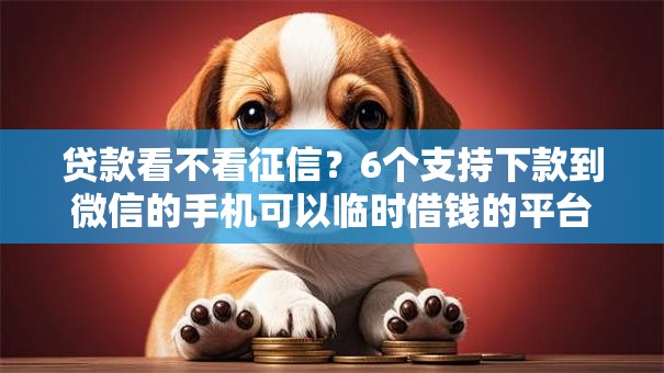 贷款看不看征信？6个支持下款到微信的手机可以临时借钱的平台