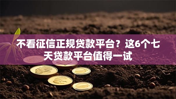 不看征信正规贷款平台？这6个七天贷款平台值得一试