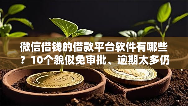 微信借钱的借款平台软件有哪些？10个貌似免审批、逾期太多仍可下款的口子合集