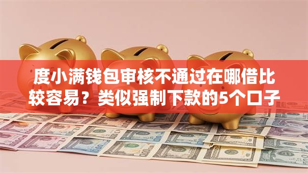 度小满钱包审核不通过在哪借比较容易？类似强制下款的5个口子参考