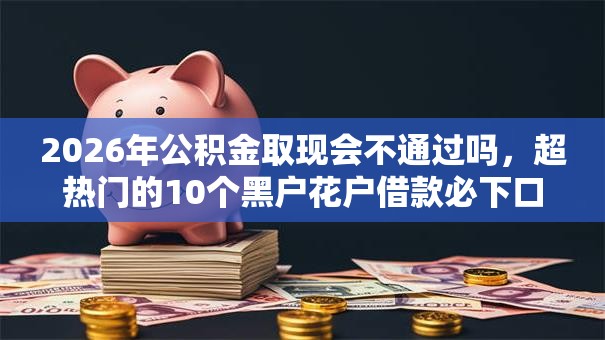 2026年公积金取现会不通过吗，超热门的10个黑户花户借款必下口子2025推荐