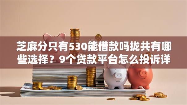 芝麻分只有530能借款吗拢共有哪些选择？9个贷款平台怎么投诉详解