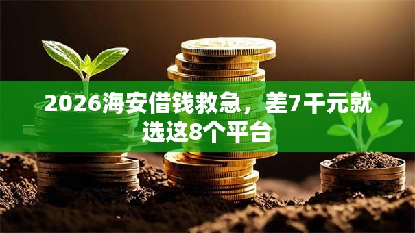 2026海安借钱救急,差7千元就选这8个平台 2026海安借钱救急,差7千元就选这8个平台