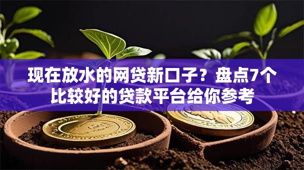 现在放水的网贷新口子？盘点7个比较好的贷款平台给你参考