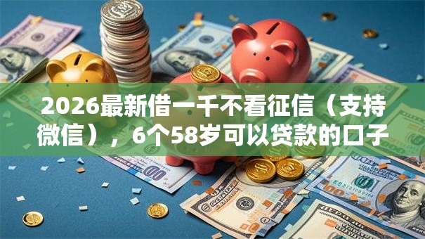 2026最新借一千不看征信（支持微信），6个58岁可以贷款的口子无私分享