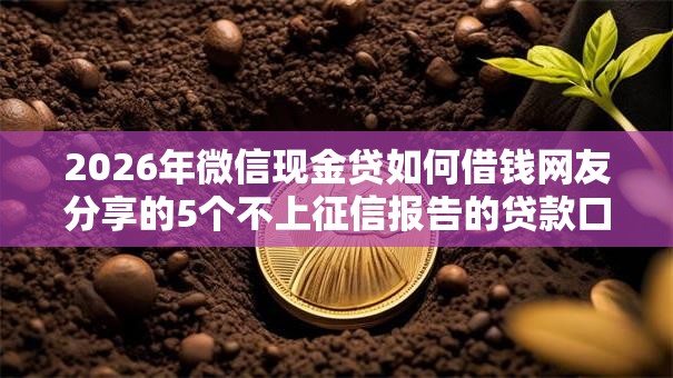 2026年微信现金贷如何借钱网友分享的5个不上征信报告的贷款口子我觉得不错！