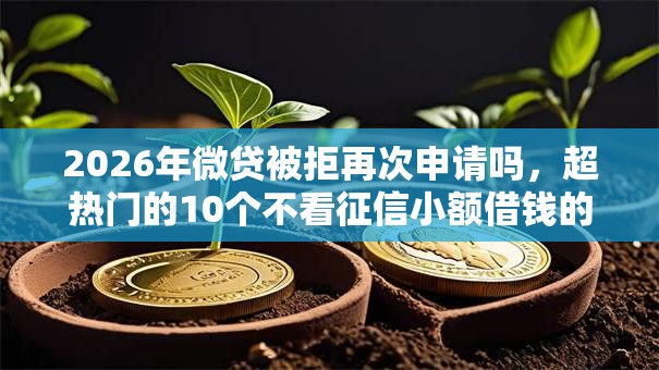 2026年微贷被拒再次申请吗，超热门的10个不看征信小额借钱的软件推荐