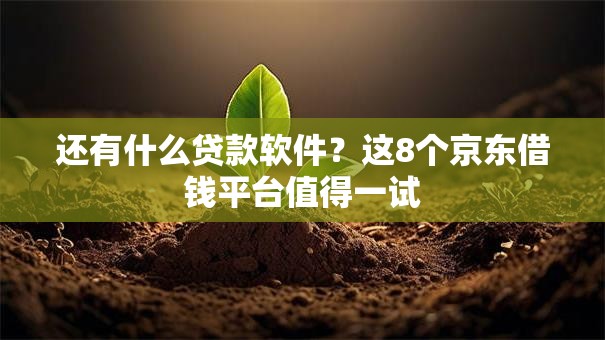 还有什么贷款软件？这8个京东借钱平台值得一试