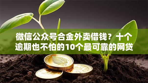微信公众号合金外卖借钱？十个逾期也不怕的10个最可靠的网贷平台
