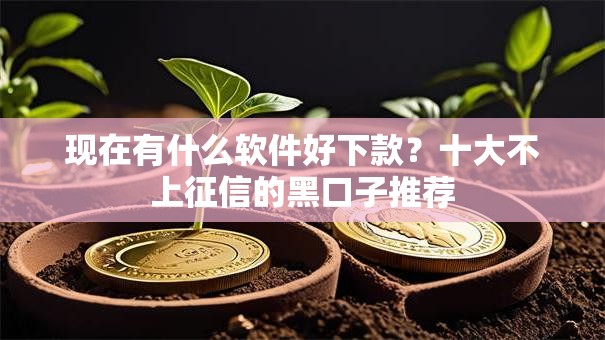 现在有什么软件好下款？十大不上征信的黑口子推荐