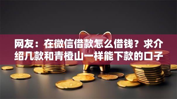 网友:在微信借款怎么借钱?求介绍几款和青橙山一样能下款的口子 网友:在微信借款怎么借钱?求介绍几款和青橙山一样能下款的口子