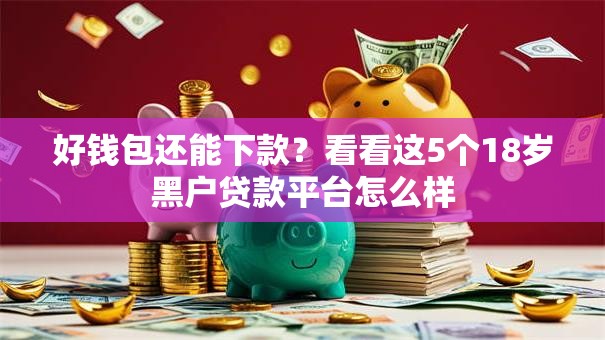 好钱包还能下款？看看这5个18岁黑户贷款平台怎么样