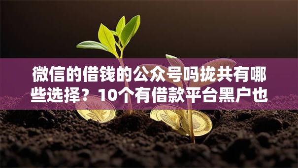 微信的借钱的公众号吗拢共有哪些选择？10个有借款平台黑户也能借详解
