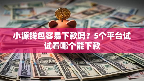 小源钱包容易下款吗？5个平台试试看哪个能下款