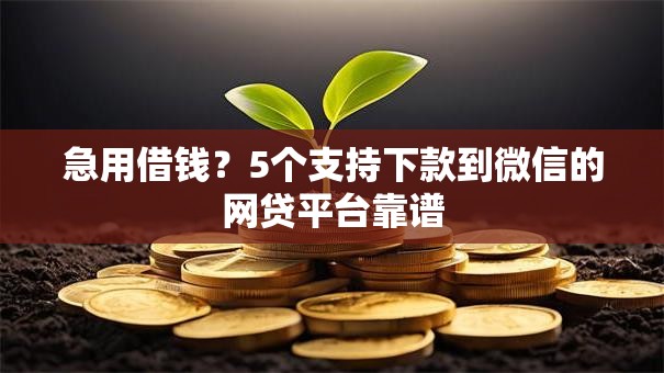 急用借钱?5个支持下款到微信的网贷平台靠谱 急用借钱?5个支持下款到微信的网贷平台靠谱