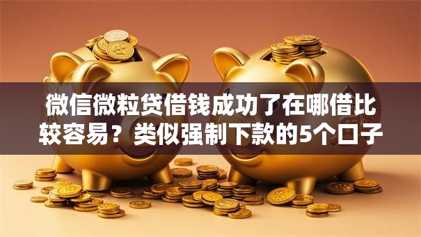 微信微粒贷借钱成功了在哪借比较容易？类似强制下款的5个口子参考