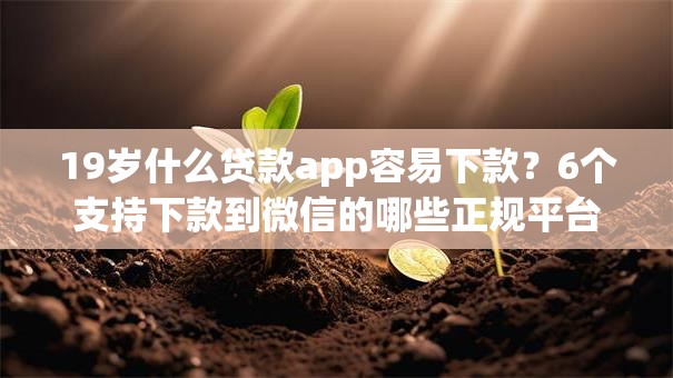 19岁什么贷款app容易下款？6个支持下款到微信的哪些正规平台可以借钱
