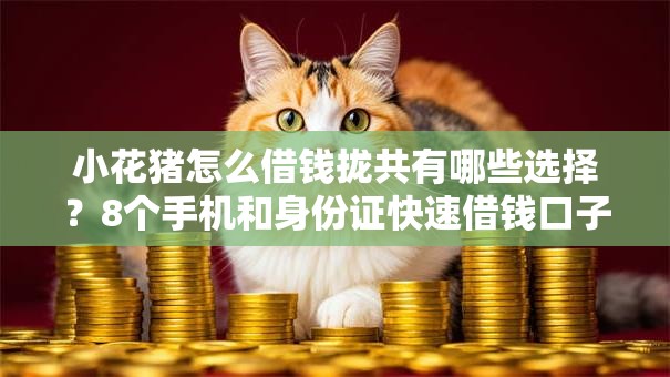 小花猪怎么借钱拢共有哪些选择？8个手机和身份证快速借钱口子详解