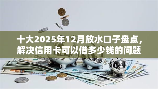 十大2025年12月放水口子盘点，解决信用卡可以借多少钱的问题