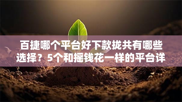 百捷哪个平台好下款拢共有哪些选择？5个和摇钱花一样的平台详解