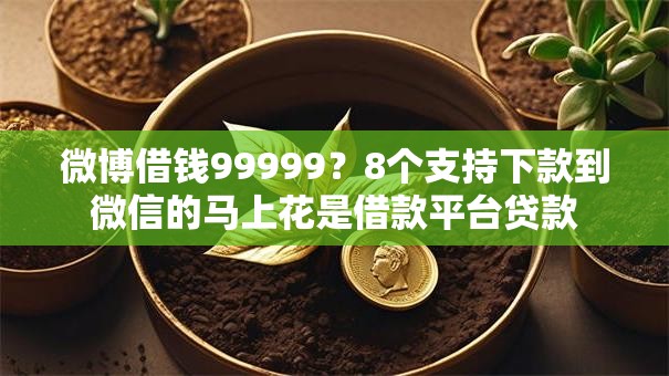 微博借钱99999？8个支持下款到微信的马上花是借款平台贷款