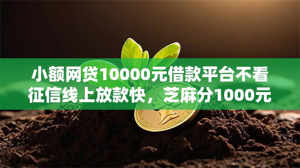 小额网贷10000元借款平台不看征信线上放款快，芝麻分1000元借款的6个平台介绍