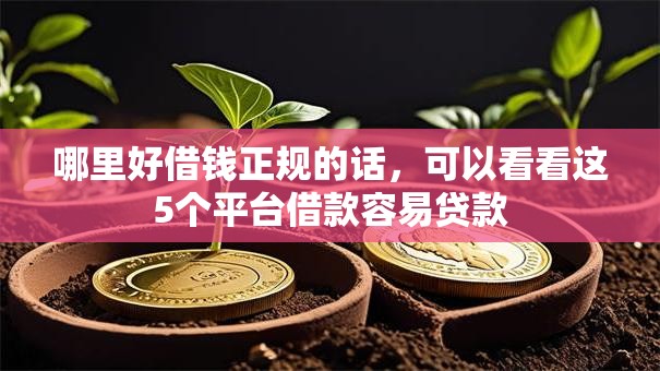 哪里好借钱正规的话，可以看看这5个平台借款容易贷款