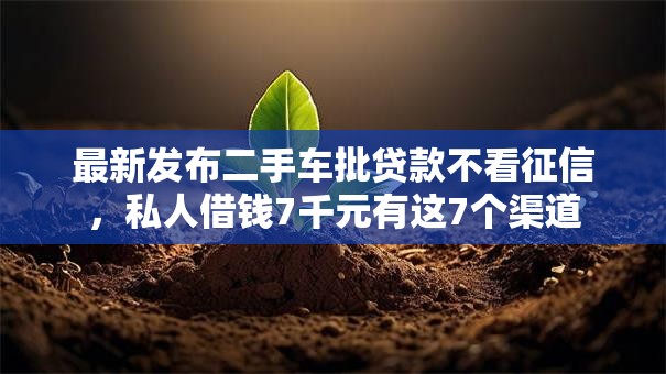 最新发布二手车批贷款不看征信，私人借钱7千元有这7个渠道