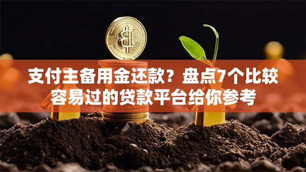 支付主备用金还款？盘点7个比较容易过的贷款平台给你参考