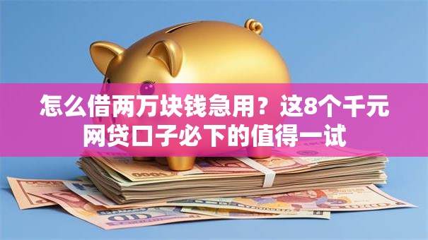 怎么借两万块钱急用？这8个千元网贷口子必下的值得一试