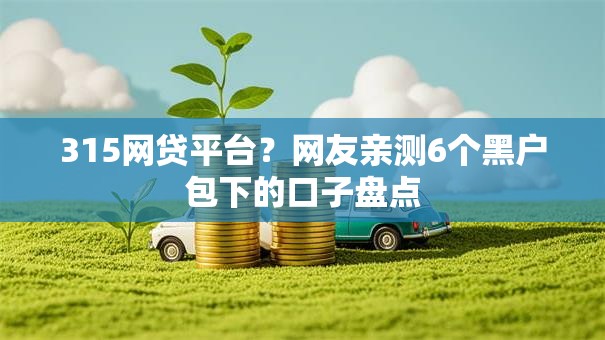315网贷平台？网友亲测6个黑户包下的口子盘点