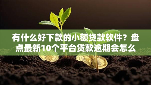 有什么好下款的小额贷款软件?盘点最新10个平台贷款逾期会怎么样 有什么好下款的小额贷款软件?盘点最新10个平台贷款逾期会怎么样