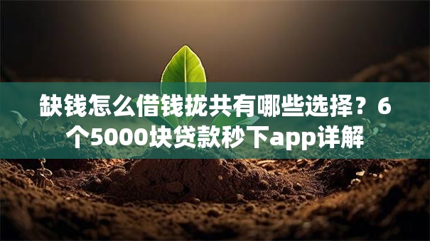 缺钱怎么借钱拢共有哪些选择?6个5000块贷款秒下app详解 缺钱怎么借钱拢共有哪些选择?6个5000块贷款秒下app详解
