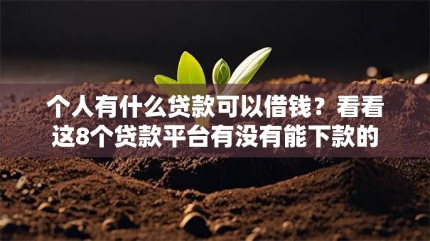 个人有什么贷款可以借钱？看看这8个贷款平台有没有能下款的