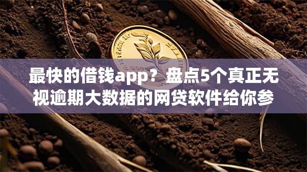 最快的借钱app？盘点5个真正无视逾期大数据的网贷软件给你参考