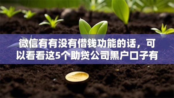 微信有有没有借钱功能的话,可以看看这5个助贷公司黑户口子有什么 微信有有没有借钱功能的话,可以看看这5个助贷公司黑户口子有什么