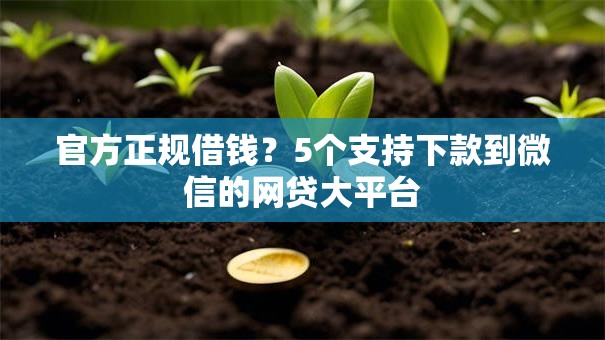 官方正规借钱？5个支持下款到微信的网贷大平台