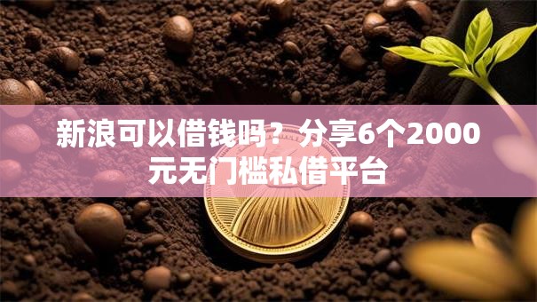 新浪可以借钱吗?分享6个2000元无门槛私借平台 新浪可以借钱吗?分享6个2000元无门槛私借平台