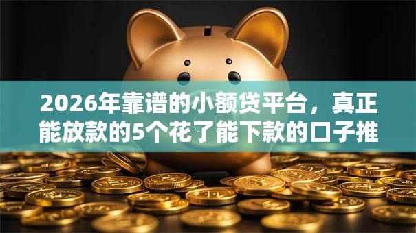 2026年靠谱的小额贷平台，真正能放款的5个花了能下款的口子推荐