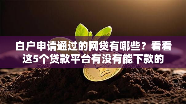 白户申请通过的网贷有哪些？看看这5个贷款平台有没有能下款的