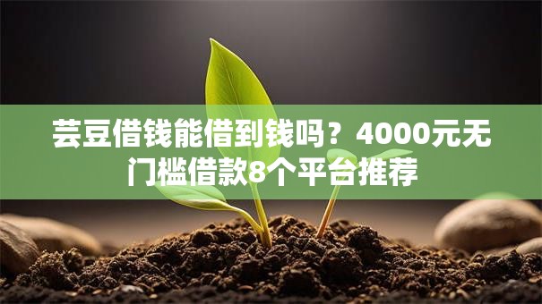 芸豆借钱能借到钱吗？4000元无门槛借款8个平台推荐
