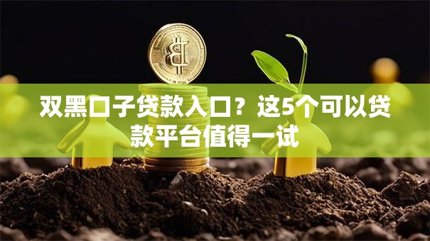 双黑口子贷款入口？这5个可以贷款平台值得一试