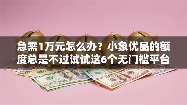 急需1万元怎么办?小象优品的额度总是不过试试这6个无门槛平台 急需1万元怎么办?小象优品的额度总是不过试试这6个无门槛平台
