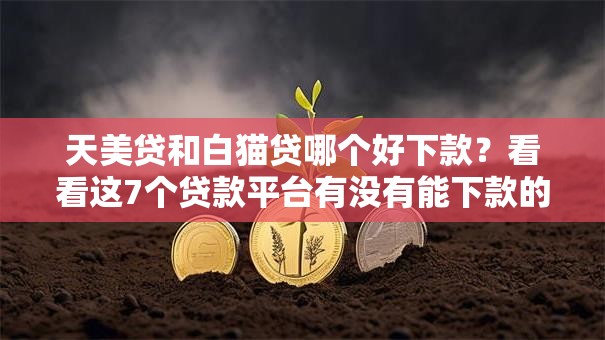 天美贷和白猫贷哪个好下款?看看这7个贷款平台有没有能下款的 天美贷和白猫贷哪个好下款?看看这7个贷款平台有没有能下款的