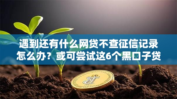 遇到还有什么网贷不查征信记录怎么办？或可尝试这6个黑口子贷款秒过的口子