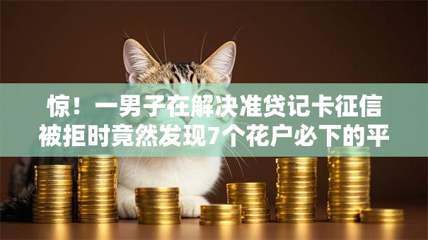 惊！一男子在解决准贷记卡征信被拒时竟然发现7个花户必下的平台100%通过率，事后分享了出来