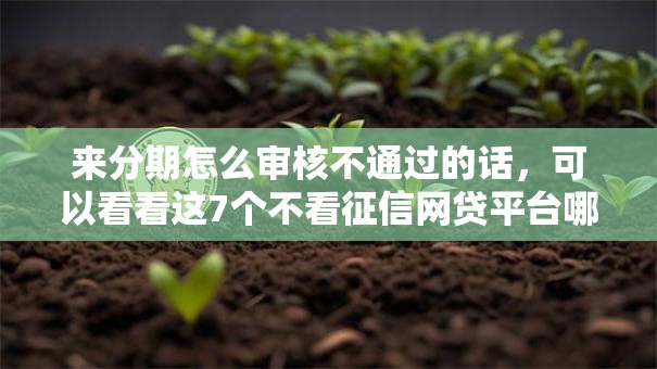 来分期怎么审核不通过的话，可以看看这7个不看征信网贷平台哪些好下款