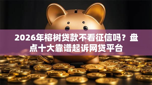 2026年榕树贷款不看征信吗？盘点十大靠谱起诉网贷平台